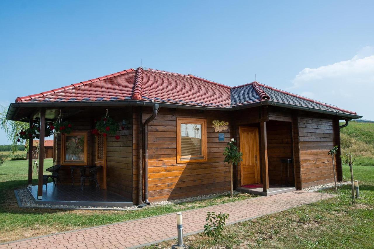 Krasograd Βίλα Pisarovina Εξωτερικό φωτογραφία